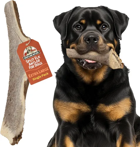 Vista 13 de Heartland - Astas de alce enteras para perros (4-5 pulgadas, paquete de 2) – Masticables dentales de larga duración e inodoros para masticadores
