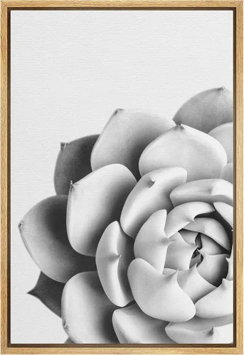 Vista 28 de Lienzo enmarcado para pared, diseño de rosa del desierto con pinchos, plantas florales suculentas, fotografía, arte moderno, primer plano