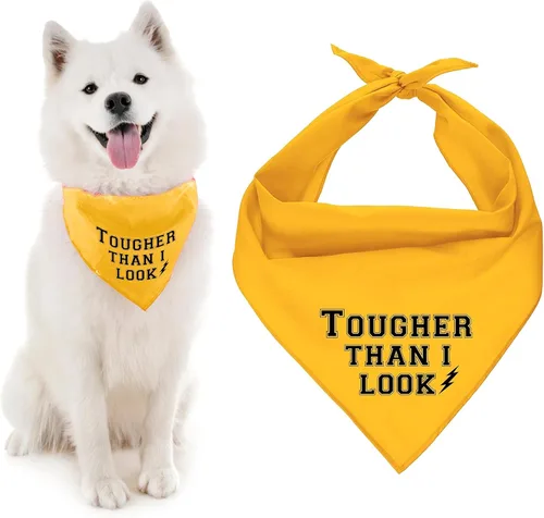 Vista 14 de Parisian Pet Bandanas naranjas para perros – Bandana ajustable para cachorros – Accesorios para perros para niños y niñas – Pañuelo para perros Best