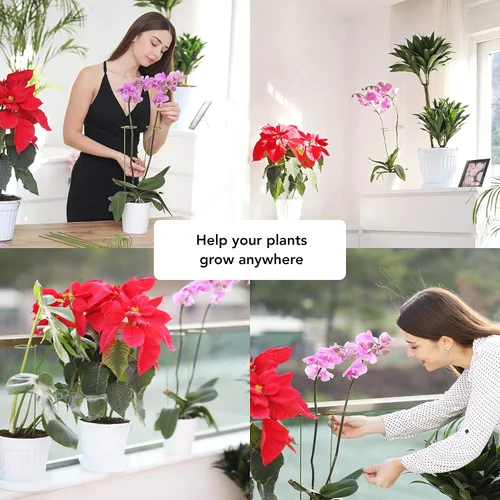 Vista 2 de Paquete de 2 estacas para plantas Soportes para plantas y flores altas Estacas verdes para jardín Ayuda a que tus flores crezcan Jaulas