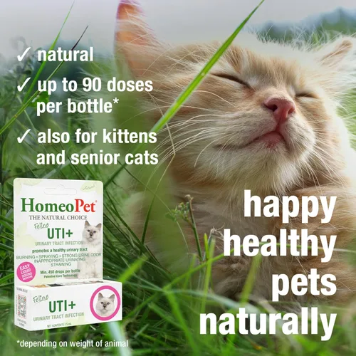 Vista 4 de Homeopet UTI Plus para infecciones urinarias para gatos, 0.5 oz