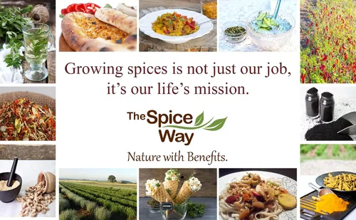 Vista 7 de The Spice Way Bayas enteras de pimienta de Jamaica de 8 onzas para curry