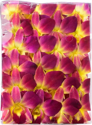 Vista 10 de Flores de orquídea frescas Miami OrchidClub USA Sunne Tropical en suelto, decoración para comida y bebida (100 AZUL PURPURA)