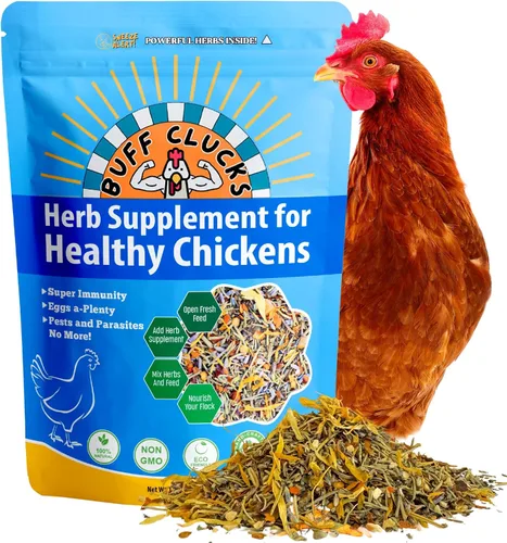 Vista 2 de Buff Clucks Coop-Care Bundle – Mezcla de hierbas de 8 onzas y CoopShield Natural + DE en polvo Hierbas aromáticas de forraje para pollos