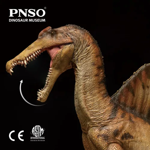Vista 6 de Serie de museos de dinosaurios PNSO (AYMEN El Spinosaurus, modelo de arte científico de escala 1:35) 12.8" Spinosaurus Exhibit Set - Skull Fossil