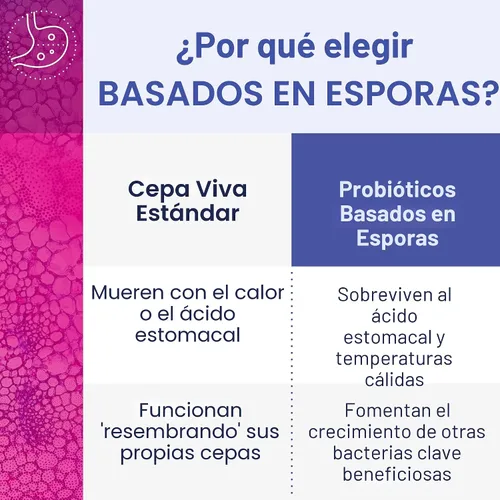 Vista 3 de Microbiome Labs MegaSporeBiotic (60 cápsulas) + MegaMucosa (5.5 oz en polvo) Probiótico y apoyo de la mucosa intestinal - Probiótico a base