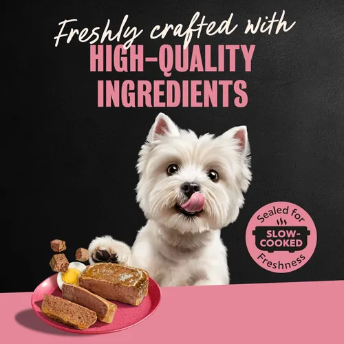 Vista 10 de Cesar - Comida húmeda gourmet para perros en paquete variado de 12 unidades (paquete de 2)
