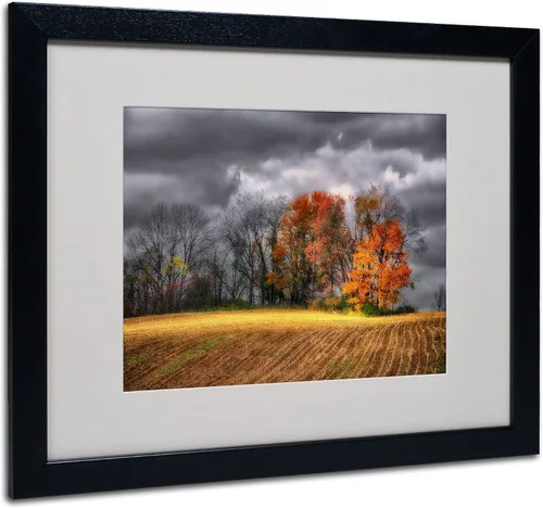 Vista 7 de Trademark Fine Art Lois Bryan - Lienzo enmarcado con marco negro, 11 x 14 pulgadas