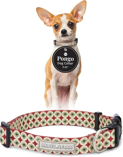 Vista 20 de Lucky Love Dog - Collar de perro ajustable con hebilla de fácil clic para los pequeños, duradero y cómodo para perros machos y hembras, collar