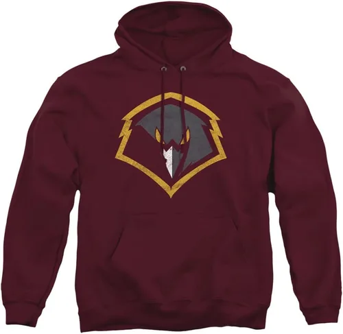 Vista 121 de Distressed College Primary Logo Adult Pullover Hoodie Collection 1 Universidad Estatal de Albany