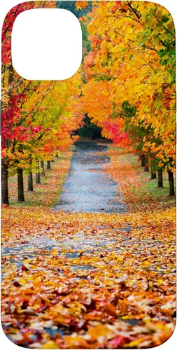 Vista 14 de iPhone 11 Otoño Hojas - Hermoso estuche de arboles