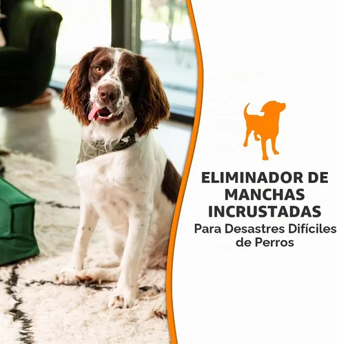 Vista 3 de Nature's Miracle Oxy Set-In - Destructor de manchas, control de olores