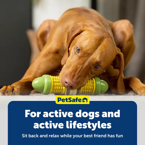 Vista 6 de PetSafe Busy Buddy Cravin Corncob - Juguete para masticar, sin BPA, con aroma a mantequilla de goma, rompecabezas interactivo para mascotas