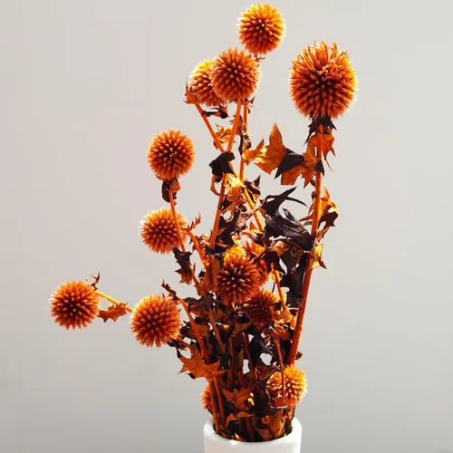 Vista 4 de Blue Planet - Flores secas de equinops para decoración, arreglos florales secos, cardo de globo seco (naranja)