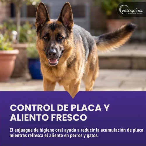 Vista 2 de Vetoquinol Dentahex - Enjuague de higiene bucal para mascotas, 8 onzas