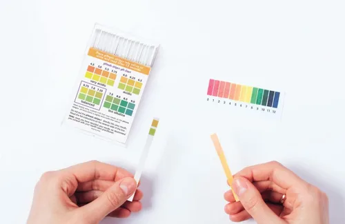 Vista 5 de pHresh - Tiras de prueba de pH con guía de alimentos alcalinos/ácidos gratis y kit de monitoreo de pH - Medidor de pH fácil de usar - Monitorea