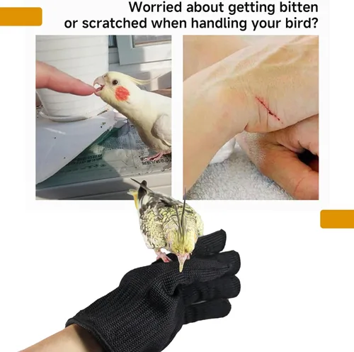 Vista 4 de QBLEEV 1 Pair Bird Handling Anti-Bite Gloves, Small Animal Bite Proof Gloves for Training