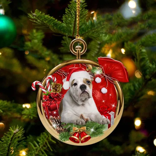 Vista 43 de Nazenti Adorno personalizado de bola de Navidad de pastor australiano – Adorno de perro personalizado para amantes de las mascotas, colgante