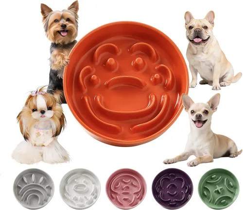 Vista 22 de Cuenco elevado para perros de alimentación lenta, 0.8 tazas de cerámica elevado con soporte inoxidable, cuenco elevado para perros de 6.3 pulgadas