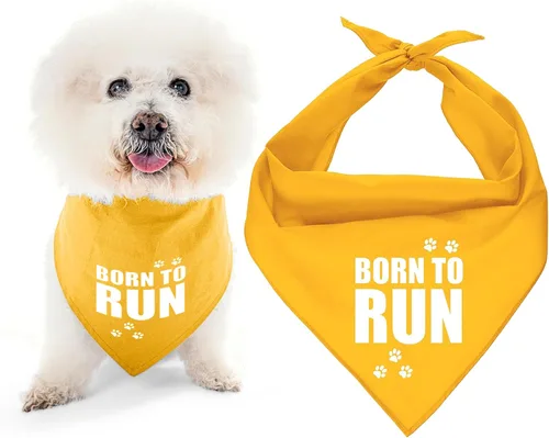 Vista 34 de Parisian Pet Bandanas naranjas para perros – Bandana ajustable para cachorros – Accesorios para perros para niños y niñas – Pañuelo para perros Best