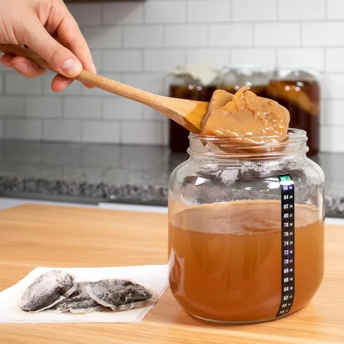 Vista 4 de Cultures for Health SCOBY - Iniciador de kombucha orgánico certificado Cultivo de reliquia para lotes ilimitados Scoby deshidratado estable