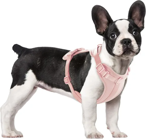 Vista 37 de Wisedog Arnés Ligero Sin Tirones para Perro: Arnés de Chaleco de Malla Transpirable Ajustable para Mascotas con Cojín Suave y Cómodo, para Perros