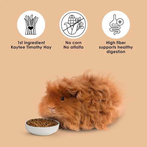 Vista 7 de Kaytee Timothy Complete - Alimento para conejillo de indias, fabricado con heno Timothy, alto en fibra, apoya la salud dental y la digestión