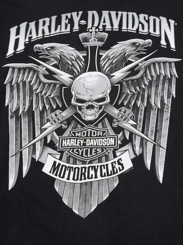 Vista 2 de Harley-Davidson Skull Lightning Crest - Camisa de manga larga para hombre, color negro, Negro