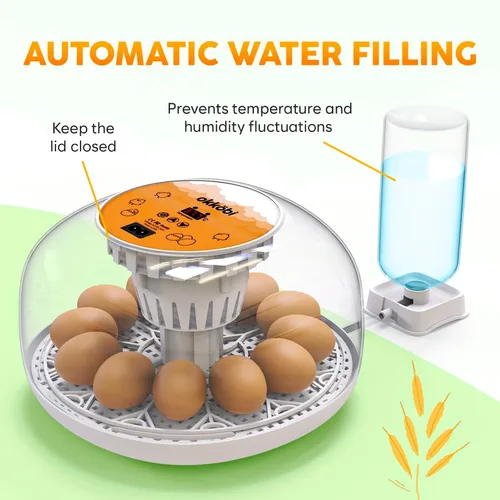 Vista 3 de Okkobi M12 - Incubadora de huevos con girador automático y control de humedad, 12/24 huevos, vista de 360°, fácil de usar y limpiar, Incubadora