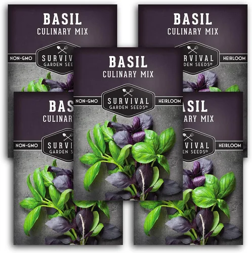 Vista 11 de Mezcla de semillas de albahaca para plantar, mezcla culinaria genovesa de semillas italianas, de limón, lima, ópalo y albahaca tailandesa, hierbas