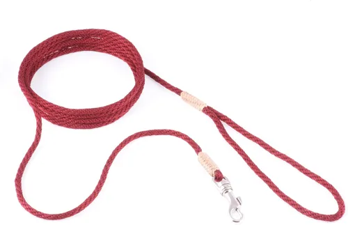 Vista 125 de Alvalley Correa para perros estilo broche – Correa de nailon estilo broche para perros – Fácil de manejar – Perfecto para perros pequeños, medianos