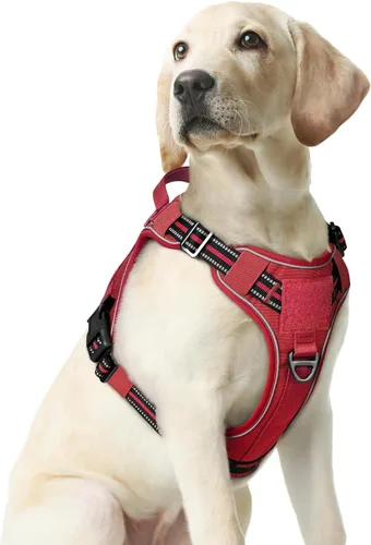Vista 26 de rabbitgoo - Arnés para perros pequeño sin tirones, chaleco táctico de servicio con Molle y asa de control, arnés militar ajustable y reflectante