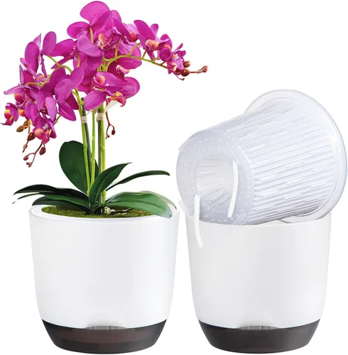 Vista 45 de QCQHDU 2 Pack 5.7 Inch Orchid Pots with Holes for Repotting, Double-Layer and Self Watering Orchid Pot with Good Air Circulation Verde