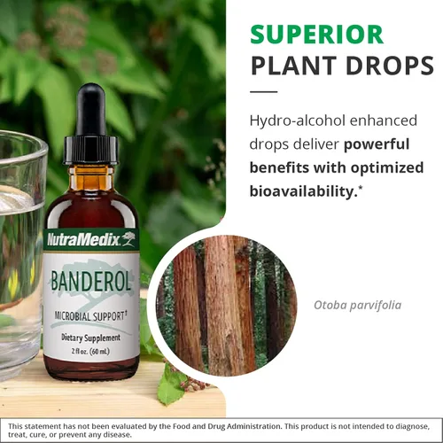 Vista 5 de NutraMedix Suplemento diario de apoyo inmunológico, suplementos herbales Banderol para el apoyo del sistema inmunológico, tintura vegana, gotas
