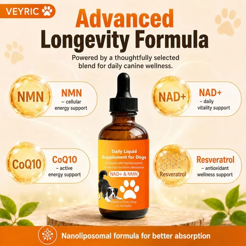 Vista 3 de Suplemento de longevidad para perros con NMN, NAD+, CoQ10 y resveratrol - Apoya la salud de las articulaciones, la vitalidad y el envejecimiento