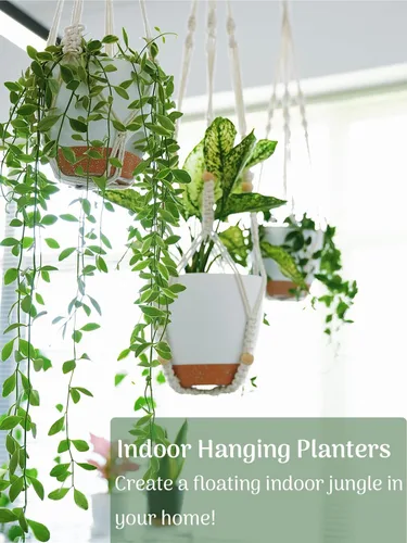Vista 32 de Paquete de 3 macetas colgantes grandes para plantas de interior con Negro