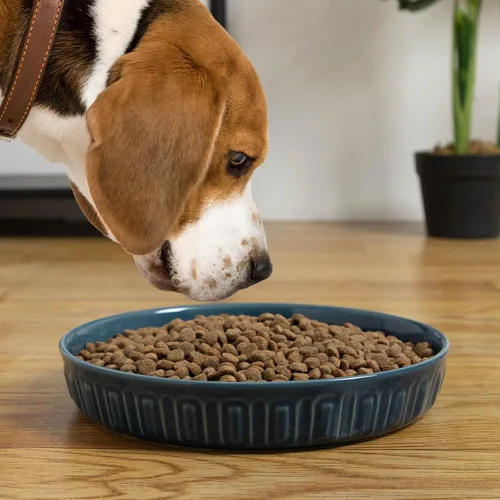 Vista 6 de Fun Elements Cuencos Poco Profundos para Perros, Plato de Comida para Perros de Cerámica de 8", para Razas Pequeñas y Medianas, Antideslizante