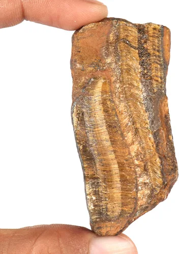 Vista 2 de GEMHUB Piedra preciosa áspera de ojo de tigre suelta 654.30 quilates con certificación de chakras curativos, piedra energética, piedra gruesa..