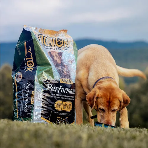 Vista 2 de VICTOR Performance - Alimento seco para perros, carne de res, pollo y cerdo