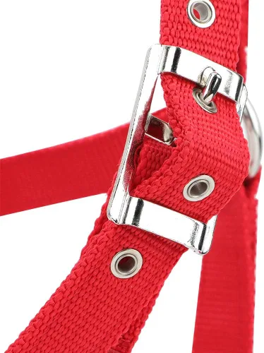 Vista 7 de Cabestro ajustable para caballo, cabestro de cuero para caballos, cabestro de cuero para caballos Halter, control de caballo, caballo, correa