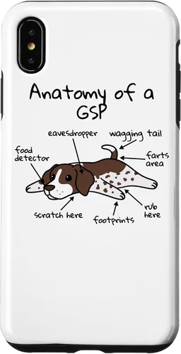 Vista 10 de iPhone 13 Anatomía de una funda de perro puntero alemán de pelo corto