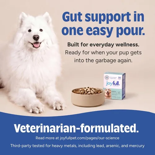 Vista 2 de Joyfull Probióticos para perros - Apoya la salud intestinal, el sistema inmunológico, la diarrea ocasional, la salud digestiva, los gases