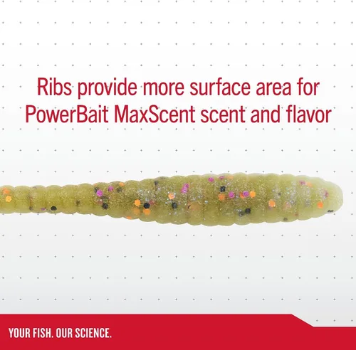 Vista 4 de Berkley Berkley PowerBait MaxScent Flat Worm Parte trasera marrón