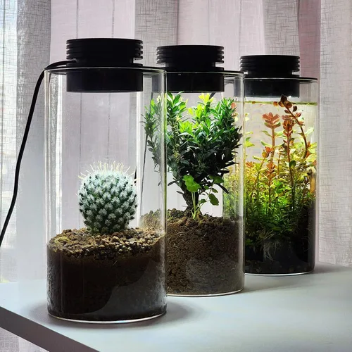 Vista 5 de AREPK Terrario de plantas de vidrio de escritorio con luz de cultivo (H:7.8" D:4"), para suculentas, musgo, paisajismo de jardinería en miniatura