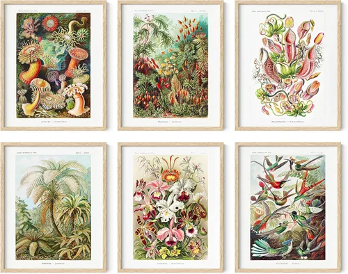 Vista 24 de HAUS AND HUES Pósteres florales y de plantas, juego de 6 impresiones botánicas, arte de pared de flores y plantas, decoración botánica