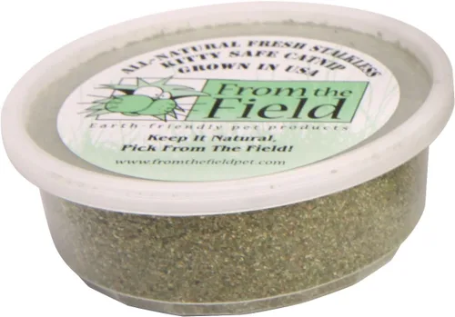 Vista 10 de from The Field Hierba gatera sin tallo de tierra fina Hierba gatera prémium cultivada en Estados Unidos para juguetes y tiempo de juego Fresca