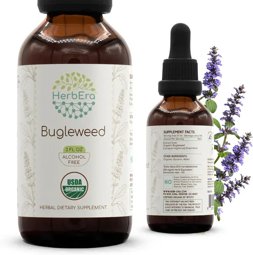 Vista 9 de HerbEra Bugleweed B120 USDA - Tintura orgánica Extracto sin alcohol, gotas de hierbas de alta potencia Bugleweed orgánico certificado
