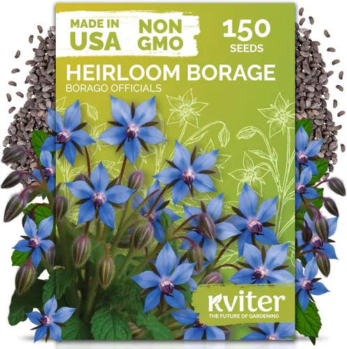 Vista 13 de KVITER 1000 semillas de quinua de cordero (Chenopodium Album) - Hierbas comestibles autóctonas, ideales para jardines de hierbas orgánicas
