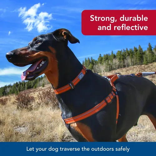 Vista 3 de Coastal Pet K9 Explorer - Collar reflectante ajustable para perro, cómodo collar para exteriores, accesorio duradero y ligero con hebilla de Baya