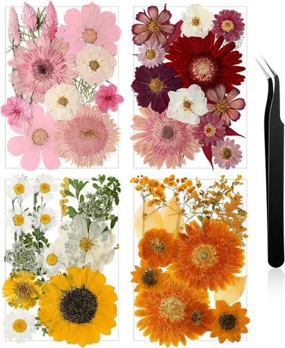 Vista 28 de Nuanchu Flores secas prensadas negras para manualidades, flores secas góticas, flores silvestres prensadas naturales a granel con pinzas para molde